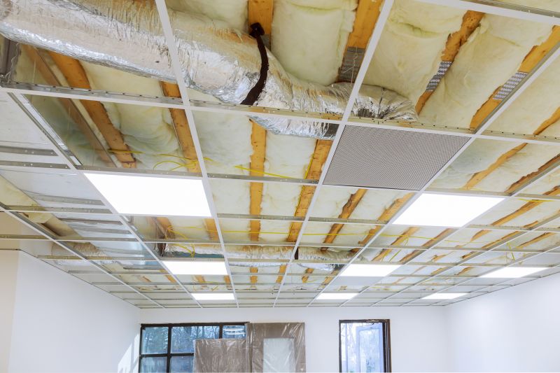 Ceiling Removal