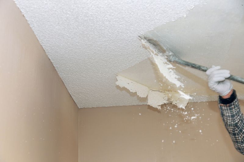 Products For Ceiling Removals in use